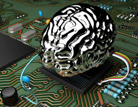 Vitamin K and brain development. Vitamin K is necessary for strong neural brain connections.